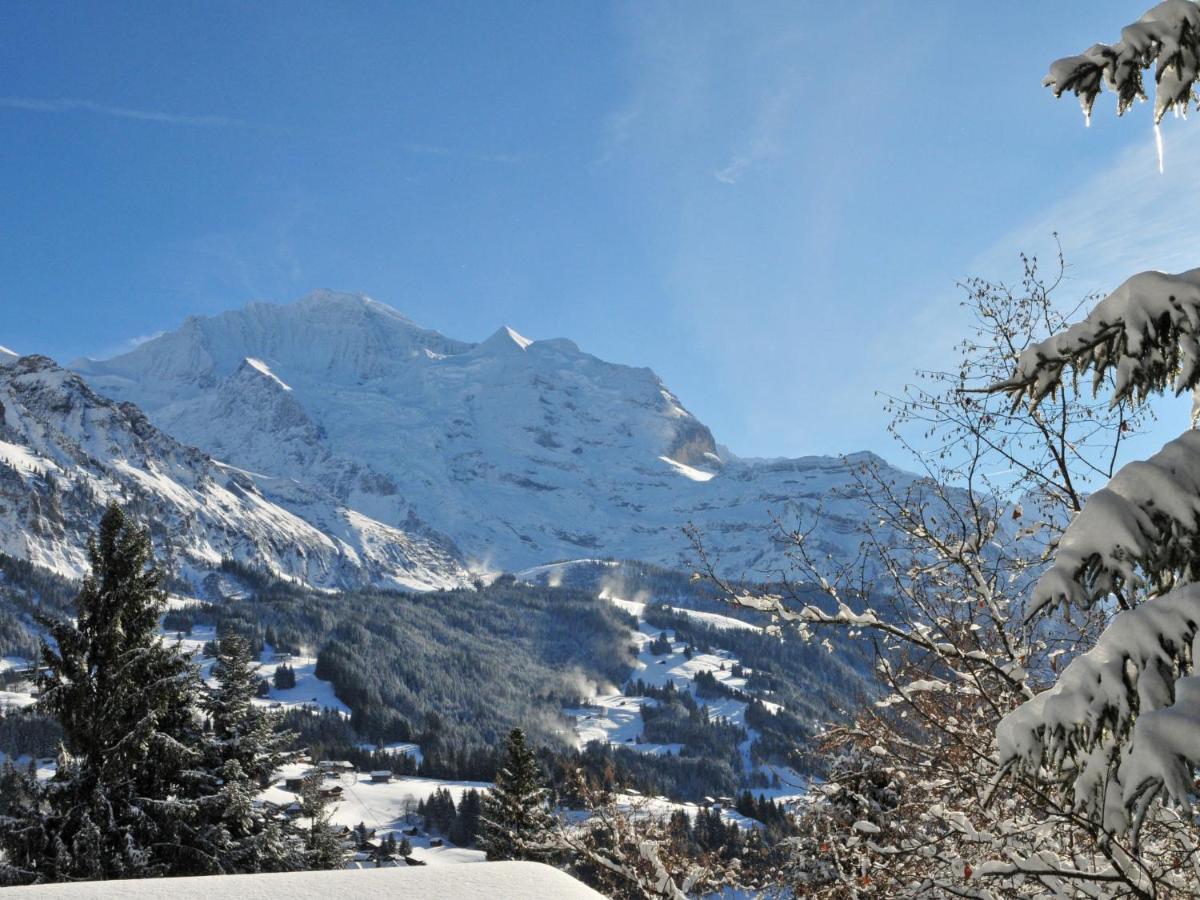 Apartment Eigersonne By Interhome Wengen Kültér fotó